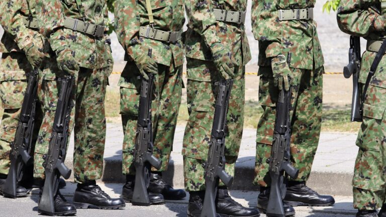Japão envia militares para enfrentar onda de ataques de ursos