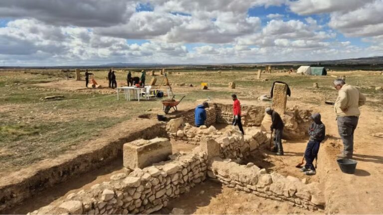 Complexo de produção de azeite do Império Romano é descoberto na Tunísia