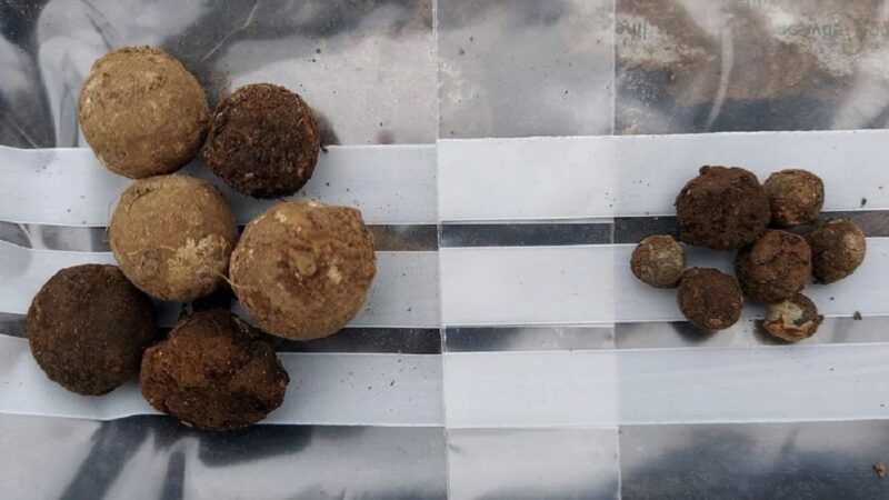 Balas de mosquete encontradas em campo de batalha na Escócia