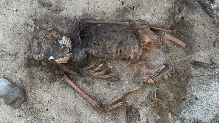 Mulher da era viking é encontrada enterrada com conchas de vieira na boca
