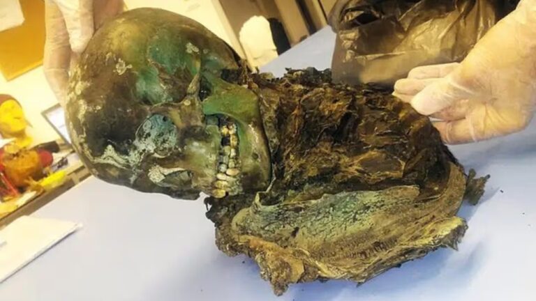 A misteriosa múmia verde-esmeralda descoberta na Itália