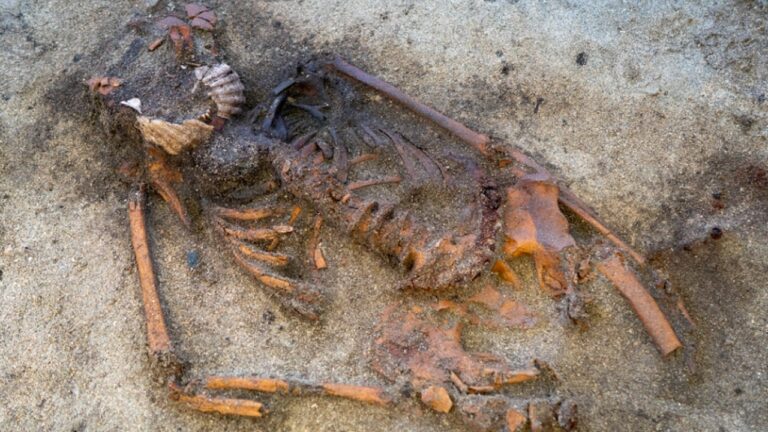 Sepultamento de mulher viking raro revela ritual misterioso na Noruega