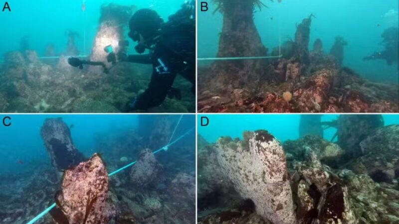 Parede submarina de 7 mil anos é encontrada por arqueólogos na França