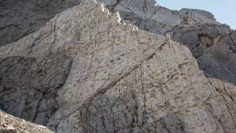Milhares de pegadas de dinossauros são encontradas nos Alpes da Itália