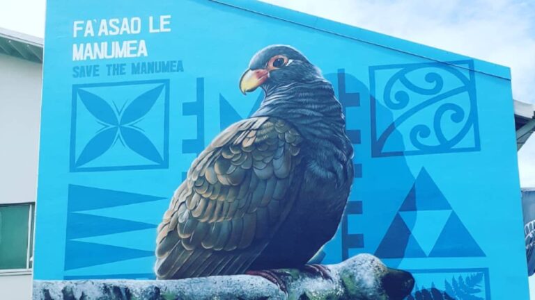 Parente mais próximo do dodô é avistado em floresta remota de Samoa