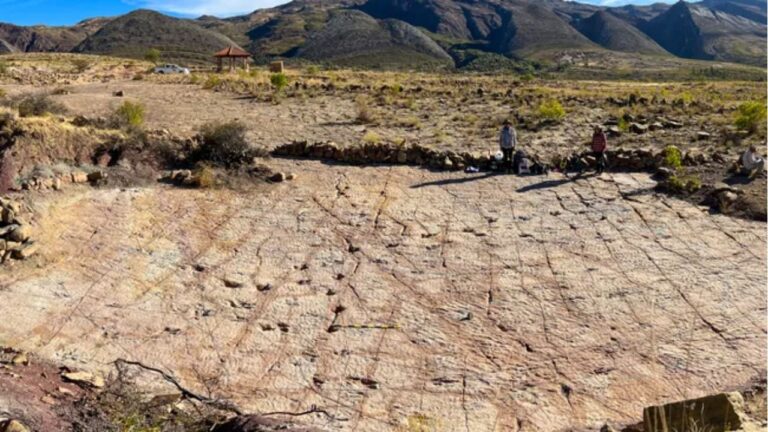Bolívia tem maior conjunto de pegadas de dinossauros do mundo