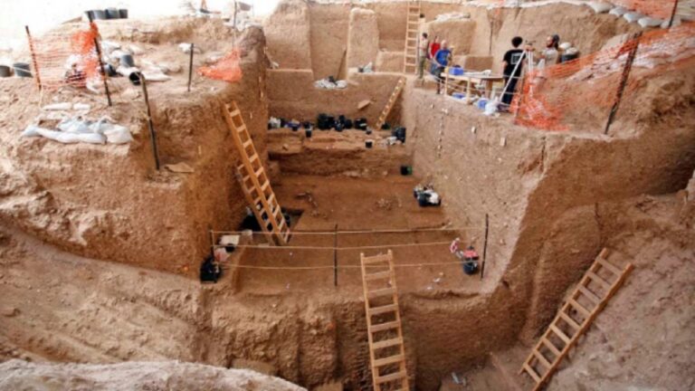 Novo estudo detalha práticas de caça que influenciaram antigos hominídeos