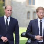 Por que o príncipe William se recusa a falar com Harry?