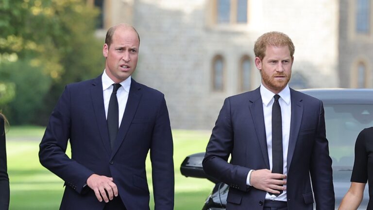 Copa do Mundo de 2026 pode marcar reencontro de Harry e William