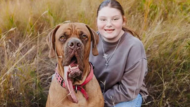 Cão com língua de 20 centímetros quebra recorde mundial