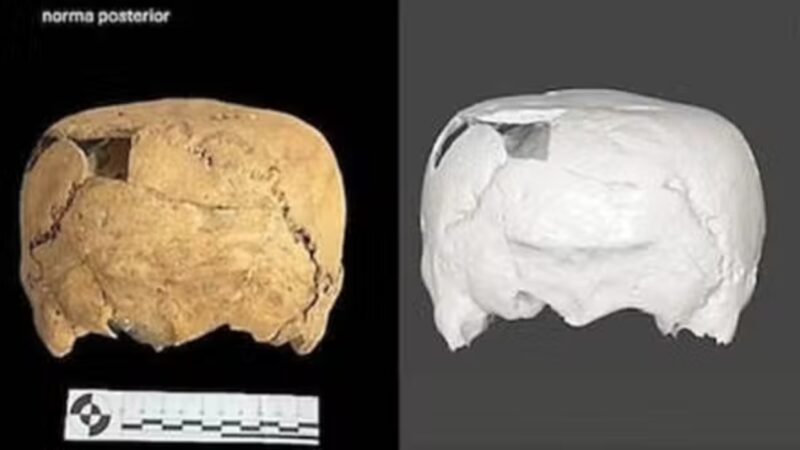 Crânio quadrado revela antiga prática de deformação craniana no México