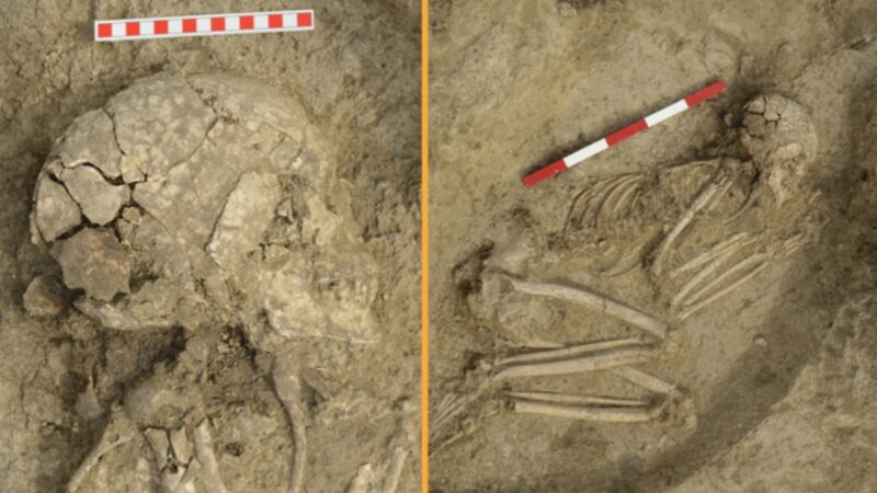 Esqueleto de 6.200 anos revela que adolescente sobreviveu a ataque brutal de leão