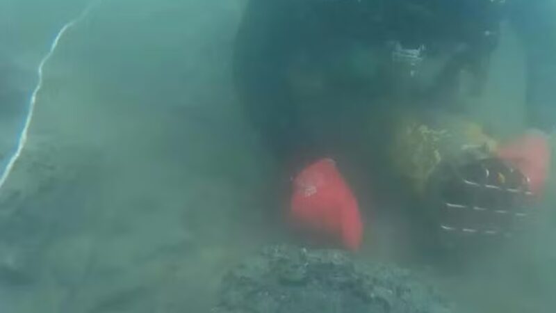 Ruínas de cidade submersa de 2,5 mil anos são descobertas na ‘Pompeia ucraniana’