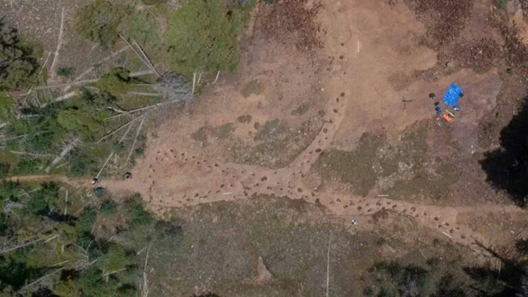Dinossauro manco deixou rastro de pegadas há 150 milhões de anos nos EUA