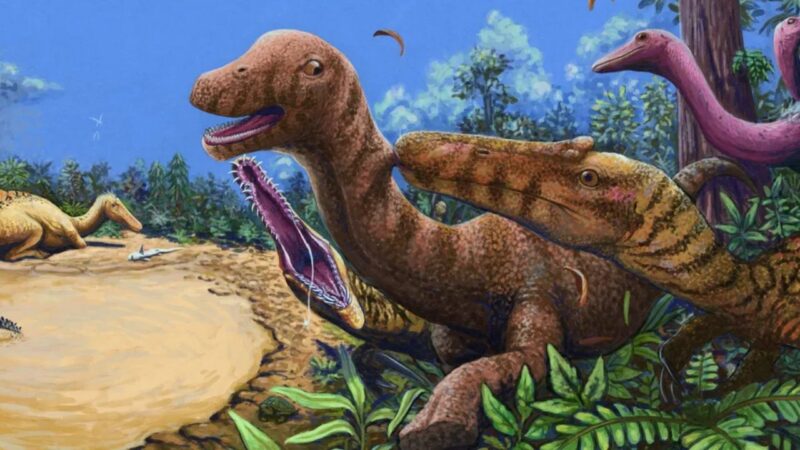 Dinossauro gigante caçava peixes no antigo Sudeste Asiático