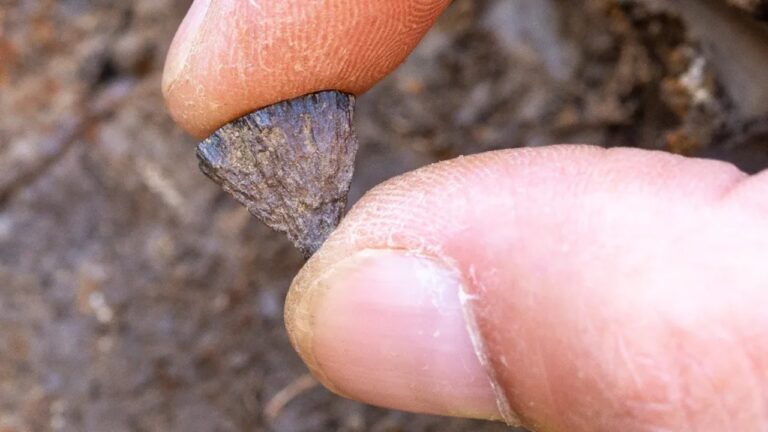 Arqueólogos descobrem que neandertais faziam fogo há 400 mil anos na Inglaterra