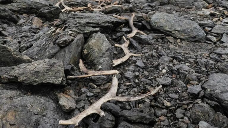 Degelo revela local de caça de 1.500 anos na Noruega
