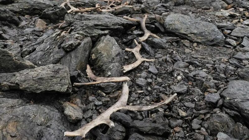 Degelo revela local de caça de 1.500 anos na Noruega