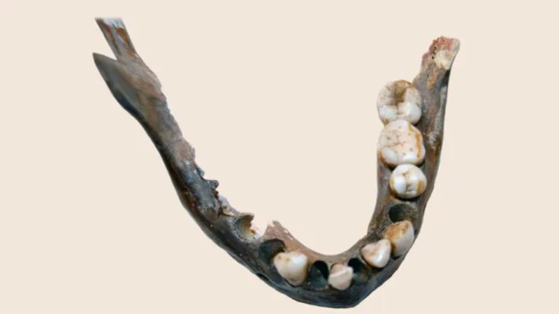 Primeiros humanos evoluíram isolados no sul da África por quase 100 mil anos