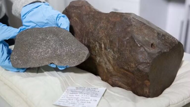 homem guarda “pedra de ouro” por três anos e descobre origem