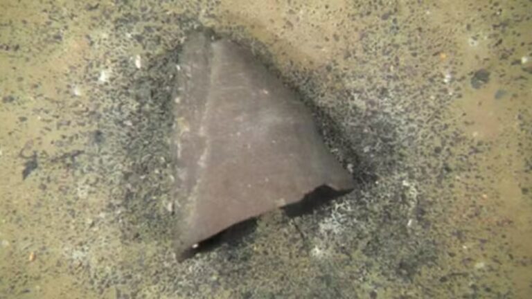 Tigela ritualística do período Jomon é descoberta em lago no Japão