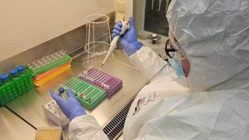 Vírus encontrado em DNA da Idade do Ferro causa doenças em bebês até hoje
