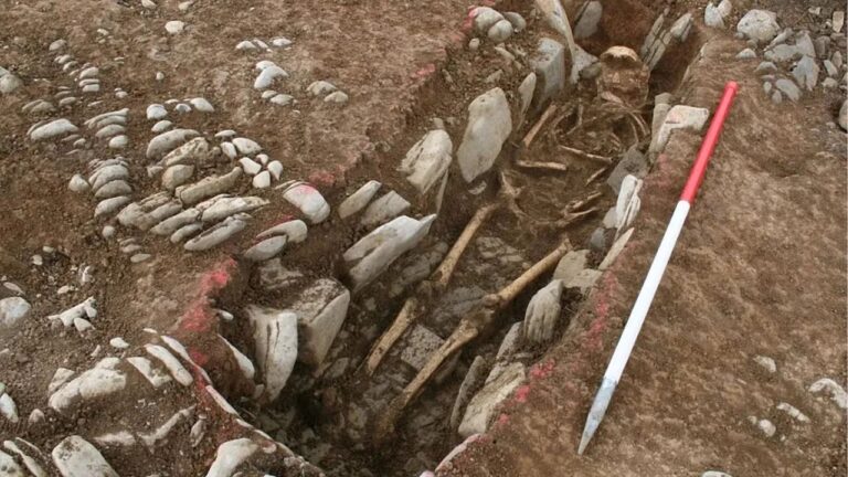 O que novas descobertas podem revelar sobre enterro de mulheres em cemitério medieval
