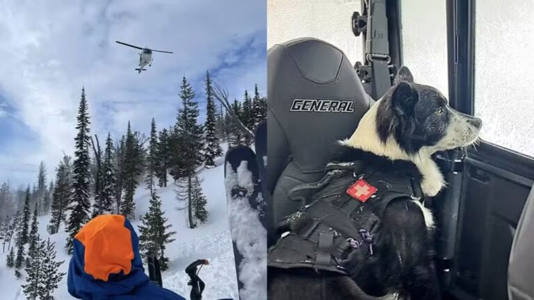 Duas pessoas morrem em avalanche durante passeio de moto de neve nos EUA