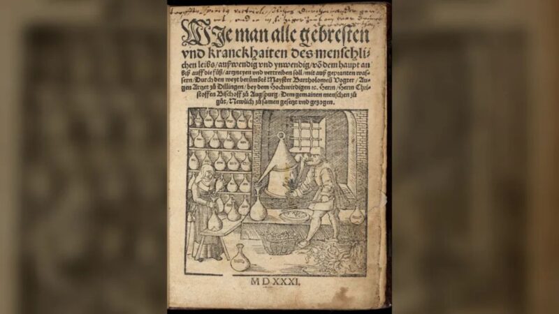 Cabeça de lagarto? Livro da era renascentista revela receitas inusitadas para curar doenças