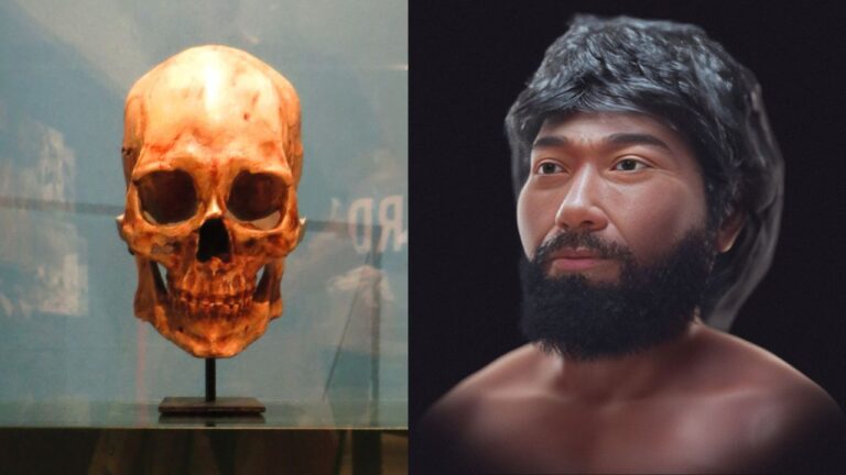 Homem de Kennewick: americano que viveu há 8.500 anos tem rosto reconstruído