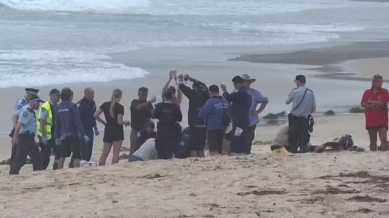 Ataques de tubarão deixam população de Sydney, na Austrália, em alerta