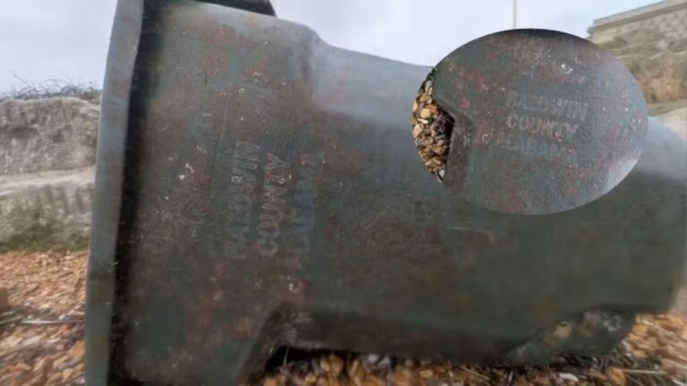 Lixeira perdida há 6 anos nos EUA aparece misteriosamente em praia inglesa