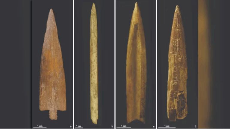 Pontas de flecha de osso datadas de 700 anos atrás revelam tradição guerreira na Argentina