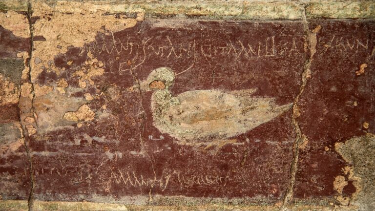 Piadas, ostentações e discussões: Os grafites que retratam a vida cotidiana de Pompeia