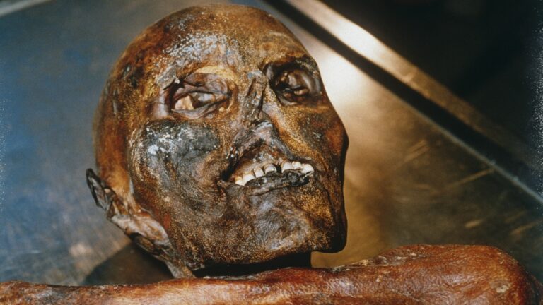 Ötzi, o Homem de Gelo, era portador de cepa de alto risco de HPV, revela estudo