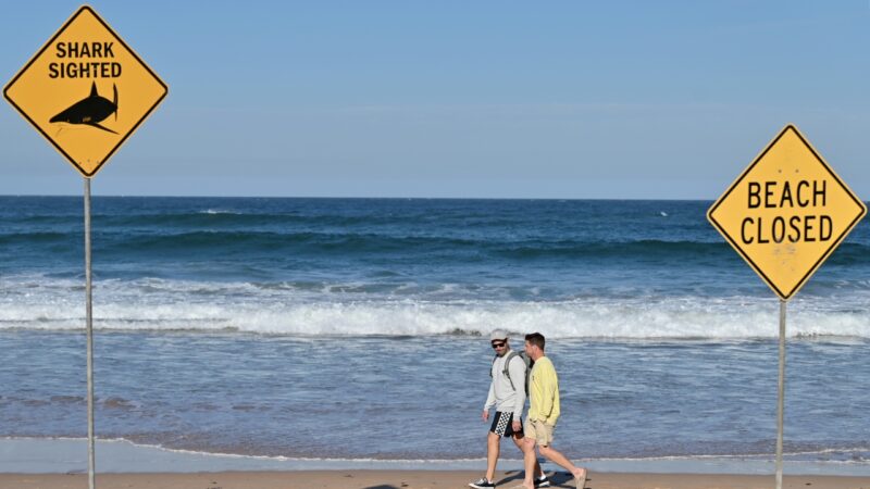Austrália fecha praias após série de ataques de tubarão