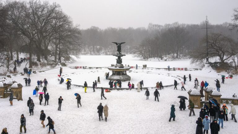 EUA: Central Park bate recorde de neve em 121 anos, em meio a onda de frio