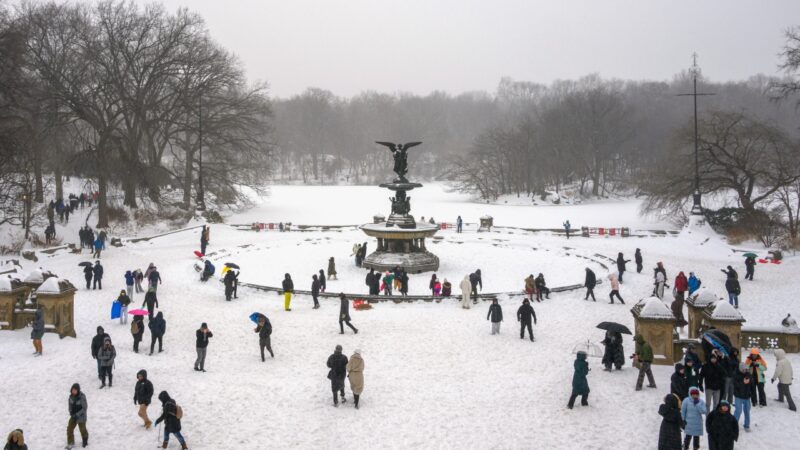 EUA: Central Park bate recorde de neve em 121 anos, em meio a onda de frio