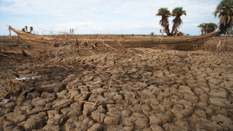 Clima seco está acelerando fragmentação da África Oriental, diz estudo