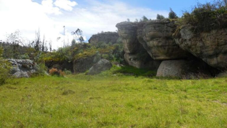 DNA em esqueleto de 5,5 mil anos revela sífilis nas Américas