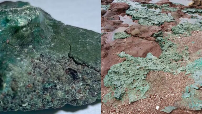 Rochas plásticas ameaçam ninhos de tartarugas na Ilha da Trindade
