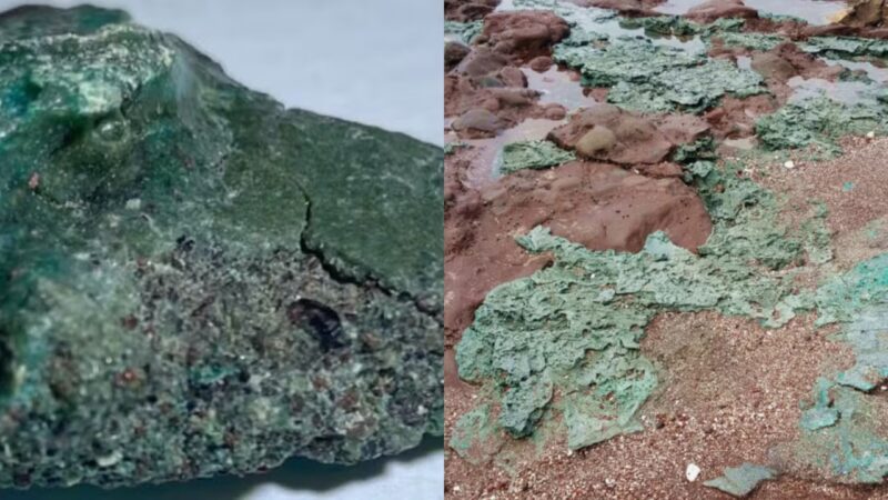 Rochas plásticas ameaçam ninhos de tartarugas na Ilha da Trindade
