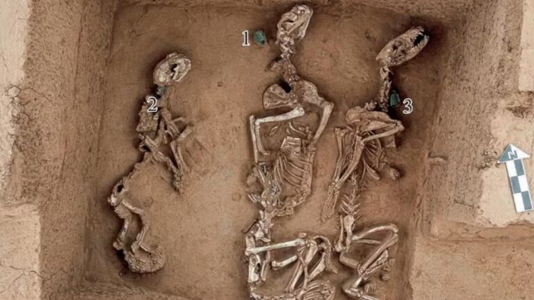 Vestígios de antigo zoológico de 3.000 anos são encontrados na China