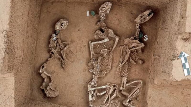 Vestígios de antigo zoológico de 3.000 anos são encontrados na China
