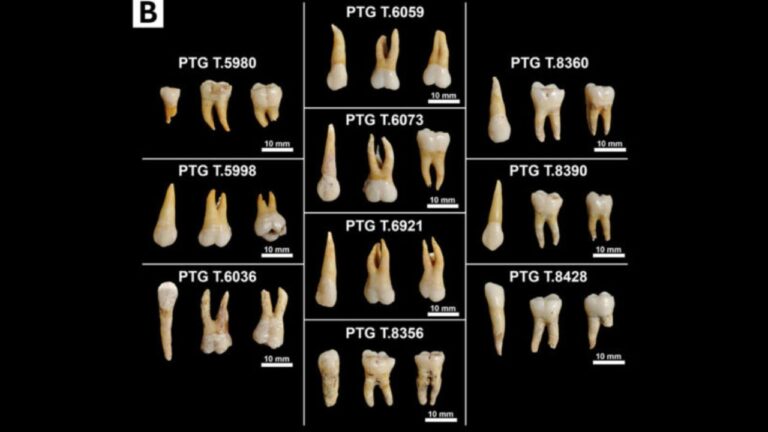 Arqueólogos analisam dentes italianos da Idade do Ferro