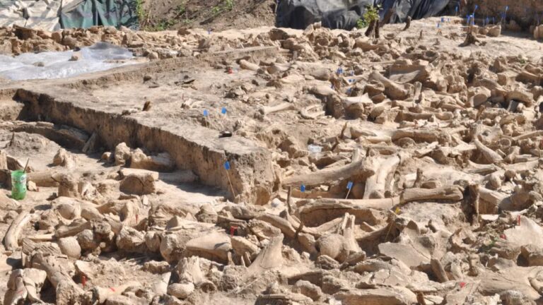 A misteriosa estrutura de 25.000 anos criada com ossos de 60 mamutes