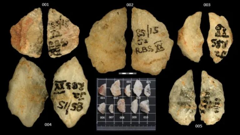 Flechas de 60.000 anos são as armas envenenadas mais antigas já descobertas