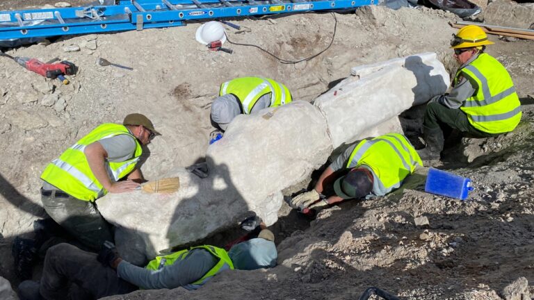 Fóssil de dinossauro gigante é descoberto em estacionamento nos EUA