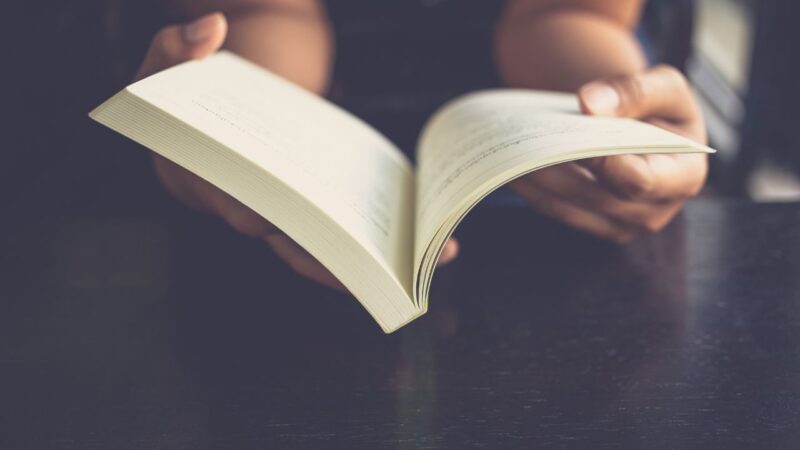 Estação das Letras anuncia cursos sobre literatura brasileira