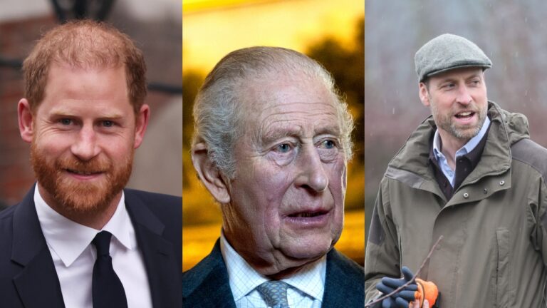 Harry pressiona Charles a escolher entre ele e William em evento real